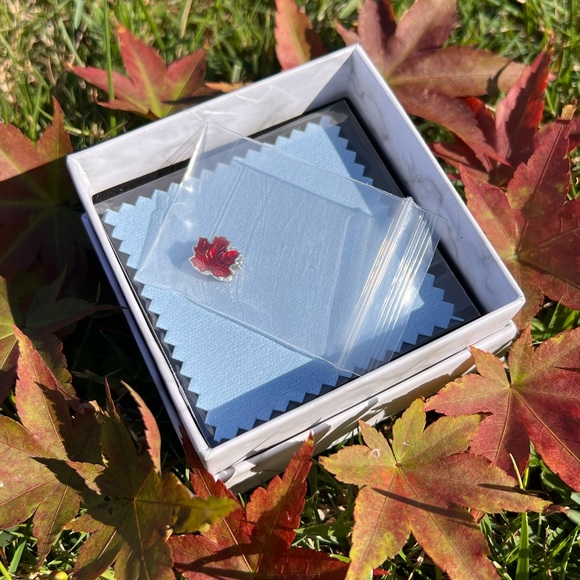 Maple /Canada /Autumn /Charm /Fits on Pandora bracelet or necklace silver 925 - Picture 7 of 8